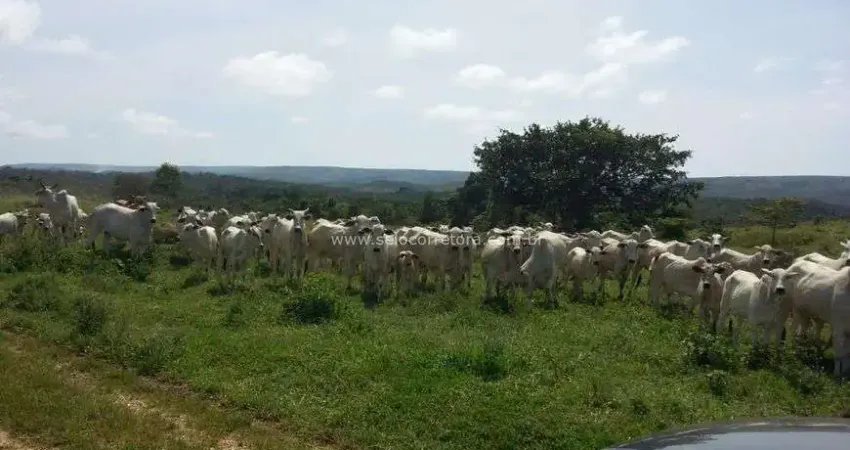 Chácara / sítio com 1 quarto à venda no Centro, Nova Brasilândia 