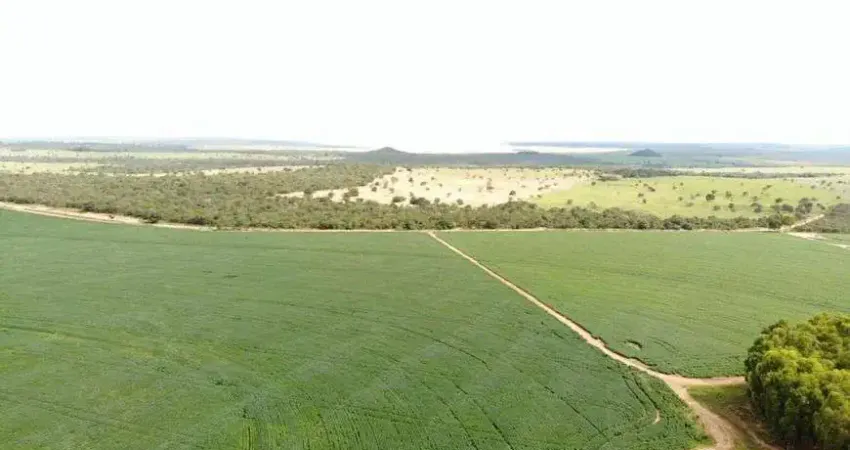 Chácara / sítio à venda no Centro, Itiquira