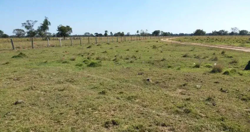 Chácara / sítio com 2 quartos à venda no Centro, Rondonópolis