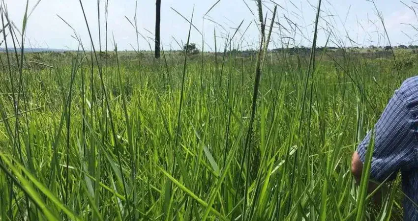Chácara / sítio à venda no Centro, Pontes e Lacerda