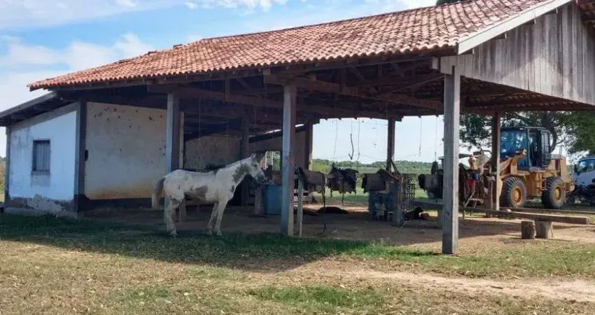Chácara / sítio com 2 quartos à venda no Centro, Poconé 