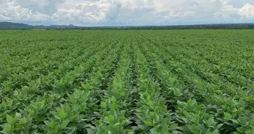 Chácara / sítio à venda no Centro, Paranatinga 