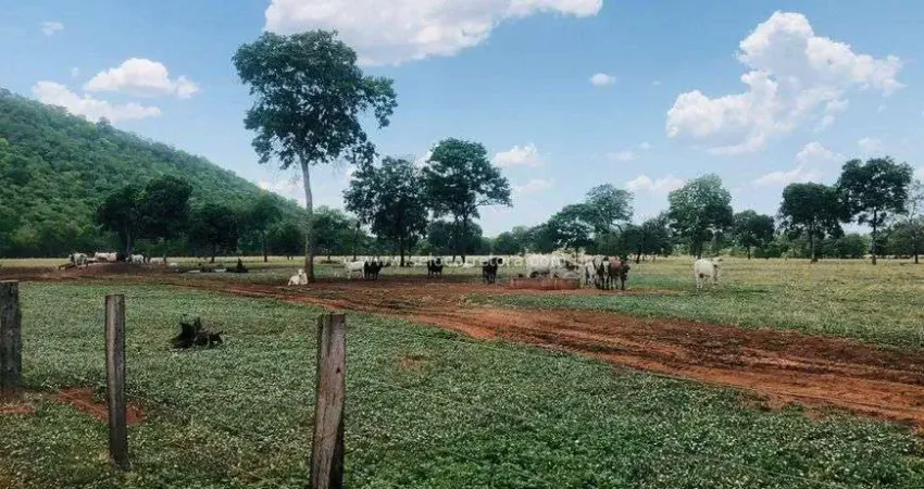 Chácara / sítio à venda na Rua 31 de Março, SN, Jardim Paraiso, Cáceres