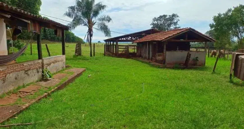 O p o r t u n i d a d e - chácara de seringa no muni. de cassilândia - ms