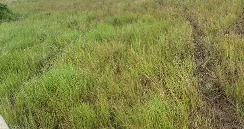 Excelente faz. no muni. de varzea grande na regiao de pirizal - mt