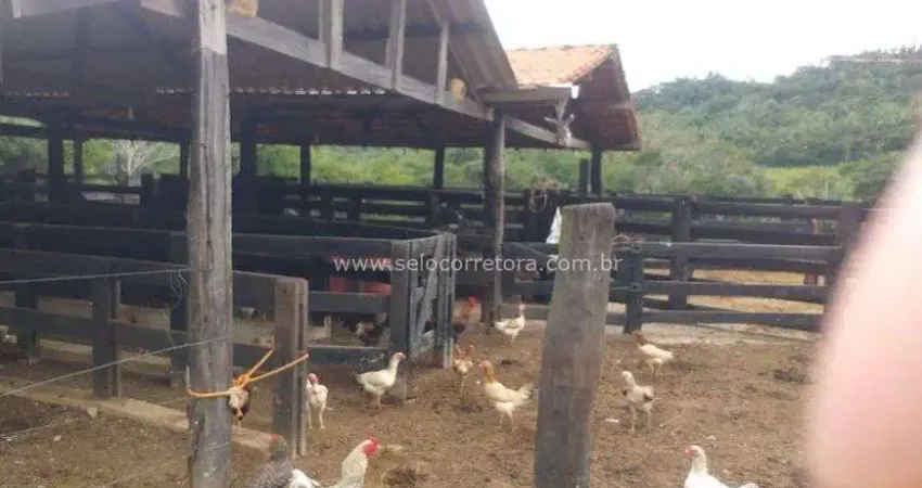 Oportunidade !! otima fazendinha de 137 há ideal para implantaçao de pousada