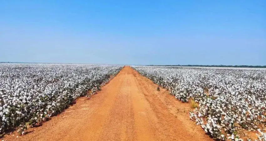 Chácara / sítio à venda no Centro, Tapurah