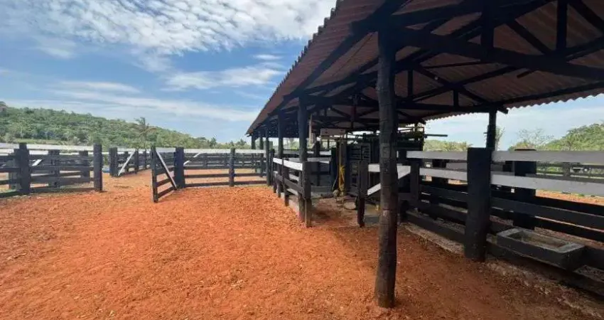 Oportunidade - faz. muni. de chapada dos guimarães (região do manso)