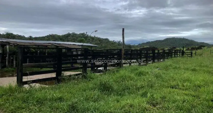 Chácara / sítio à venda no Centro, Santo Antônio do Leverger