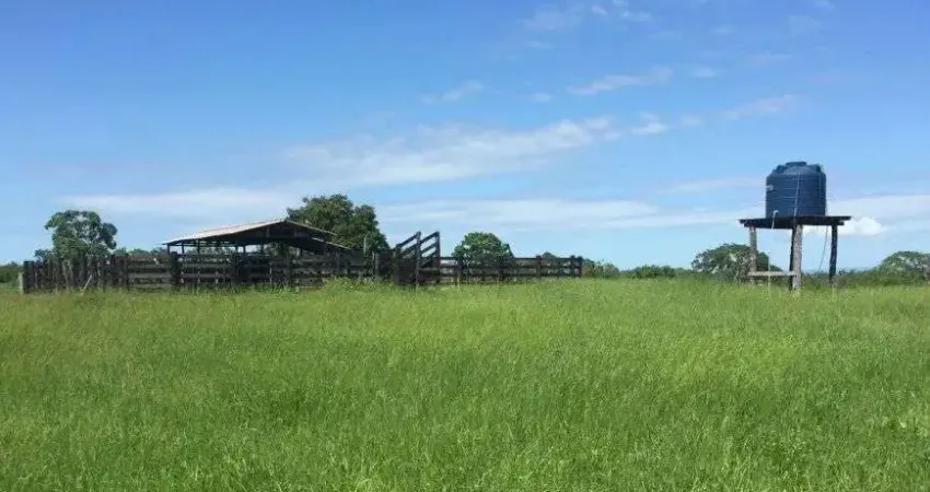 Chácara / sítio à venda no Centro, Poconé