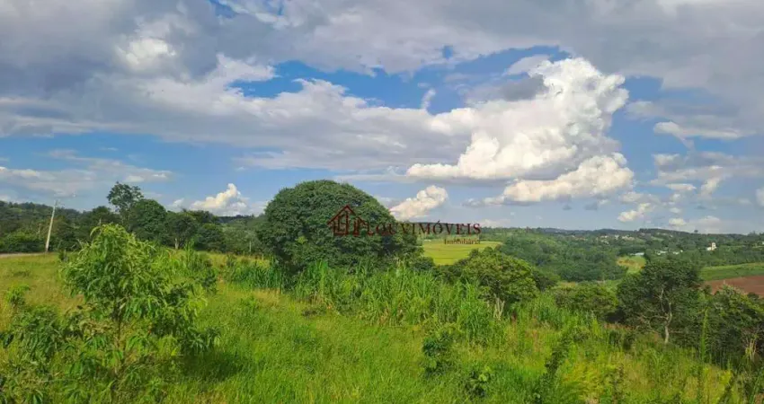 Chácara / sítio à venda na Rua das Paineiras, Arataba, Louveira