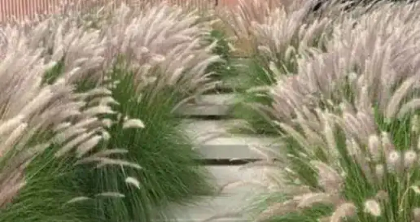 Casa com 3 dormitórios à venda, 255 m² por r$ 2.067.000,00 - condomínio san giovanni - itatiba/sp