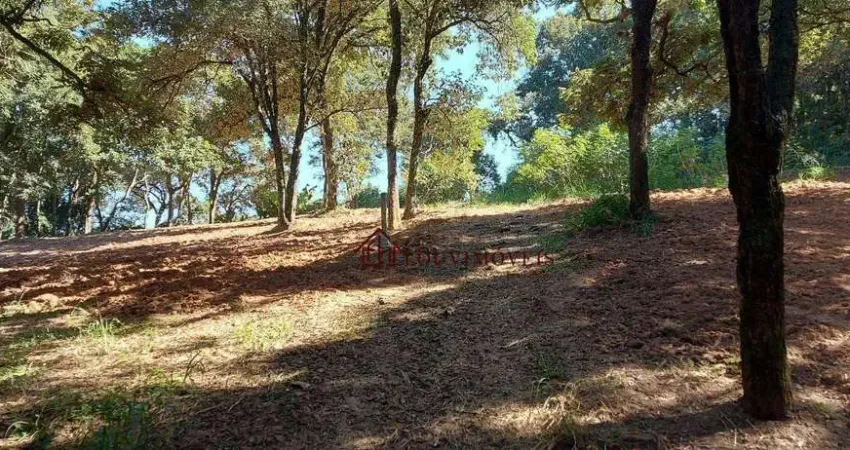 Terreno à venda, 3700 m² por r$ 2.200.000,00 - altos do morumbi - vinhedo/sp