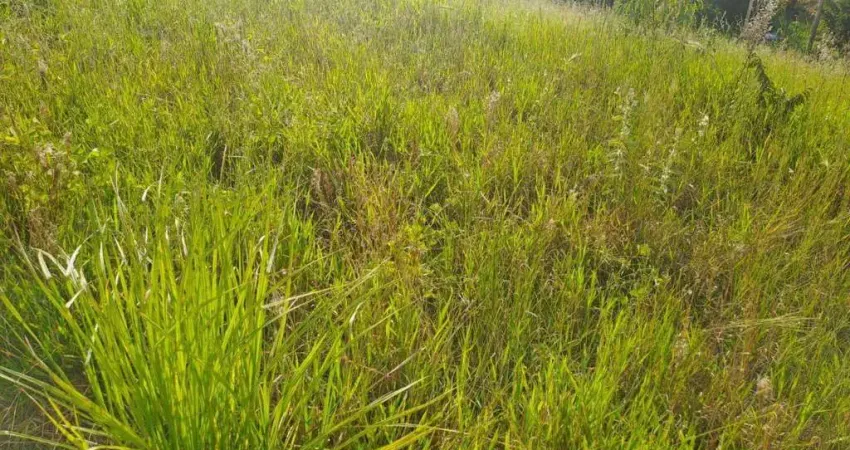 Terreno à venda, 425 m² por r$ 389.550,00 - vila pasti - louveira/sp