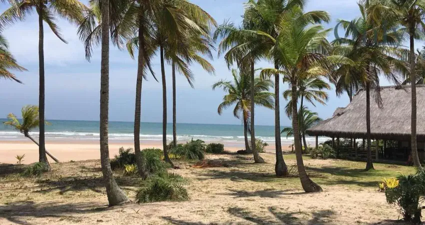 Chácara com 6 dormitórios à venda, 14813 m² por r$ 14.000.000,00 - praia dos algodões - maraú/ba