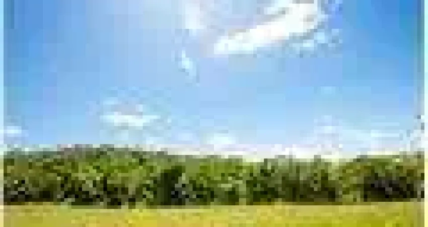 Terreno residencial para venda em módulo rural 43-centro, 20,000m²