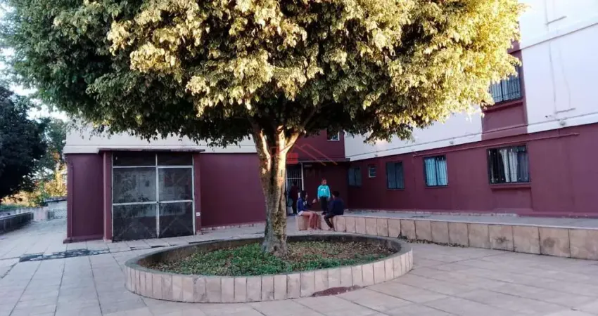 Apartamento para venda em são paulo, conjunto habitacional santa etelvina ii, 2 dormitórios, 1 banheiro, 1 vaga