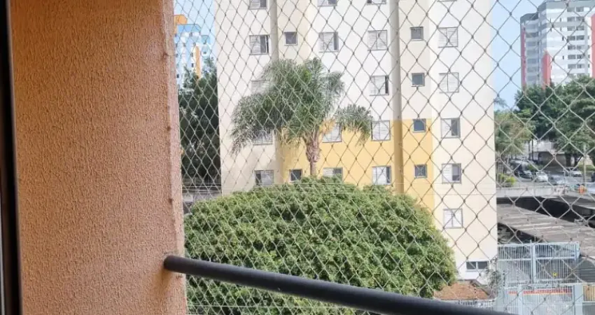 Oportunidade!!! abaixo do valor de mercado, aceita financiamento bancário!