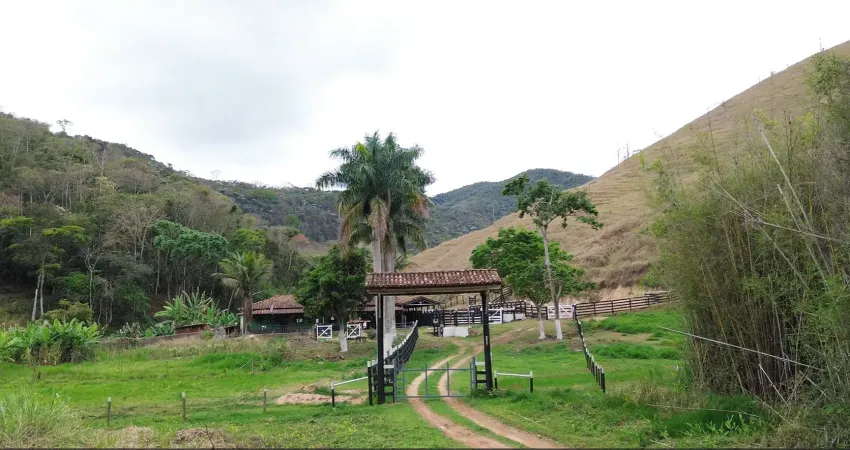 Fazenda de 356 hectares a venda em são domingos do prata - minas gerais