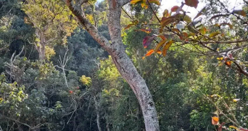 Chácara / sítio à venda na Zona Rural, Bom Jardim de Minas 