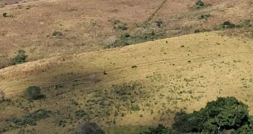 Chácara / sítio à venda na Zona Rural, Bom Jardim de Minas