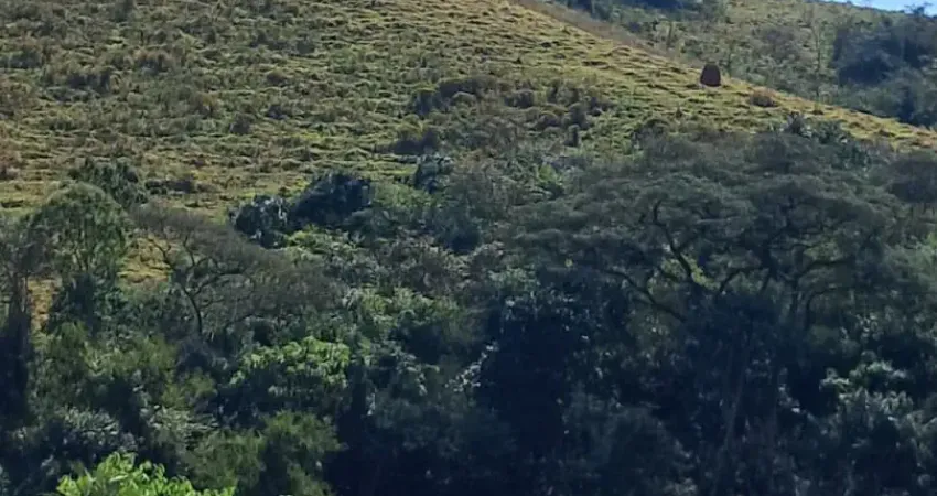 Chácara / sítio à venda na Zona Rural, Bom Jardim de Minas