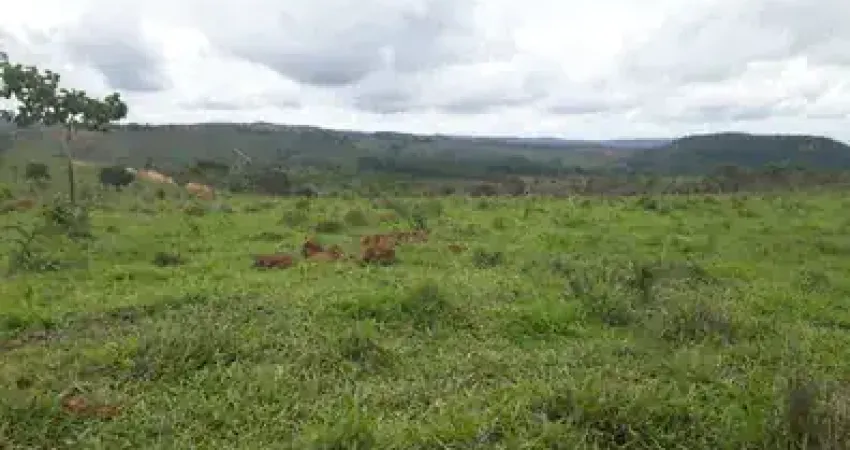 Grande oportunidade kairos imóveis! chácaras e área ampla à venda em curralinho – ideal para cultivo, lazer e investimento!