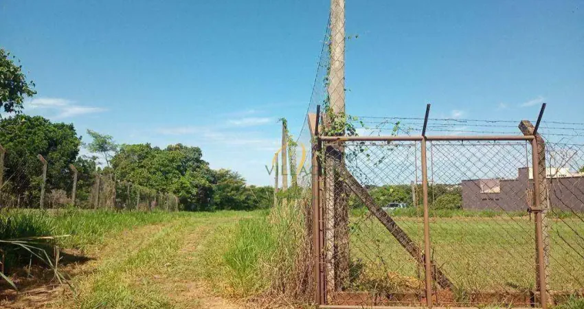 Terreno comercial à venda na Rua Sebastião Bernardino de Souza, Brejo Alegre, São José do Rio Preto