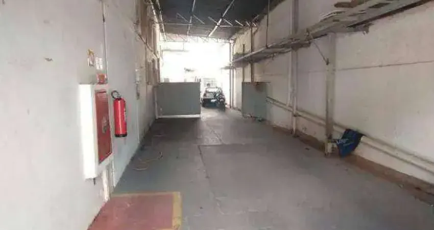 Salão para alugar, 700 m² por r$ 10.080,00/mês - jardim vieira - são josé do rio preto/sp