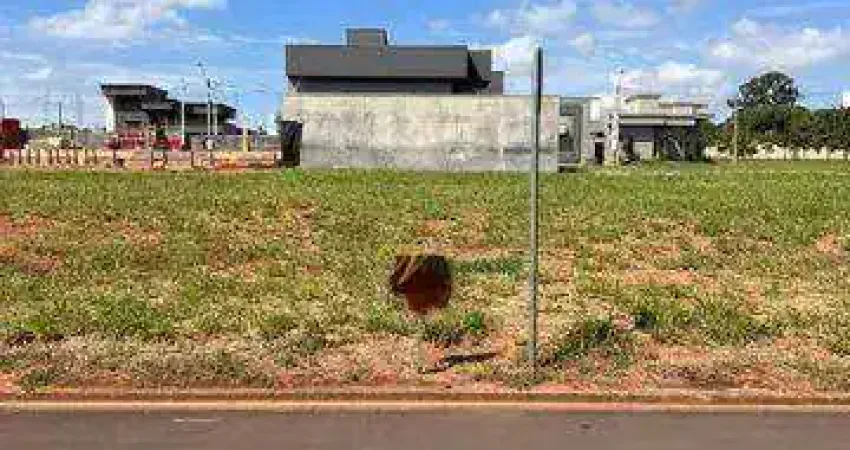 Terreno para alugar, 330 m² por r$ 3.000/mês - centro - são josé do rio preto/sp