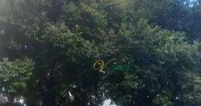 Apartamento com 4 dormitórios à venda, 280 m² por r$ 550.000,00 - vila bom jesus - são josé do rio preto/sp