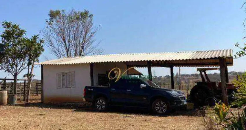 Fazenda com 3 dormitórios à venda, 377520 m² por r$ 3.600.000,00 - rural - palmeira d`oeste/sp