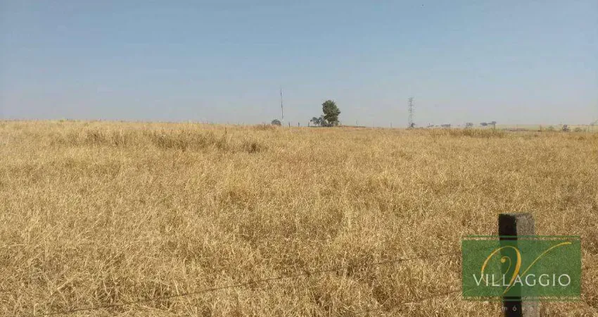 Área à venda, 54000 m² por r$ 5.900.000,00 - estância - cedral/sp