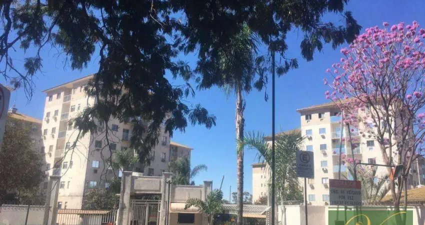 Apartamento com 2 dormitórios à venda, 52 m² por r$ 210.000,00 - vila são judas tadeu - são josé do rio preto/sp