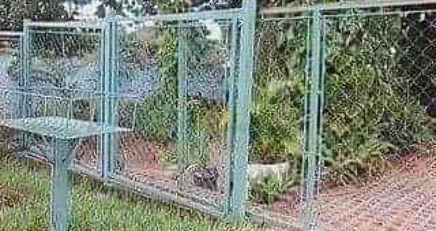 Chácara / sítio com 4 quartos à venda na Rodovia Delcio Custodio Da Silva, 2, Loteamento Galiléia (Zona Rural), São José do Rio Preto