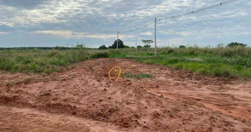 Chácara à venda, 20.000 m² por r$ 390.000 - zona rural - dentro cidade balsamo