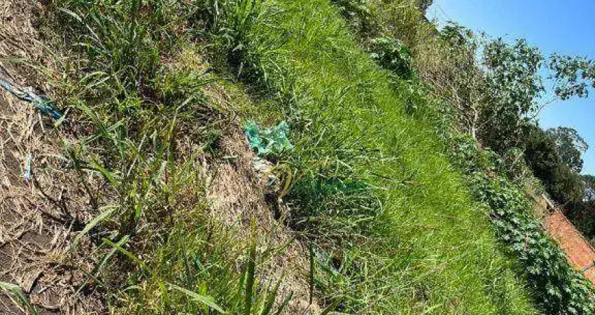 Terreno à venda na Avenida Projetada, Jardim Menezes, Bady Bassitt