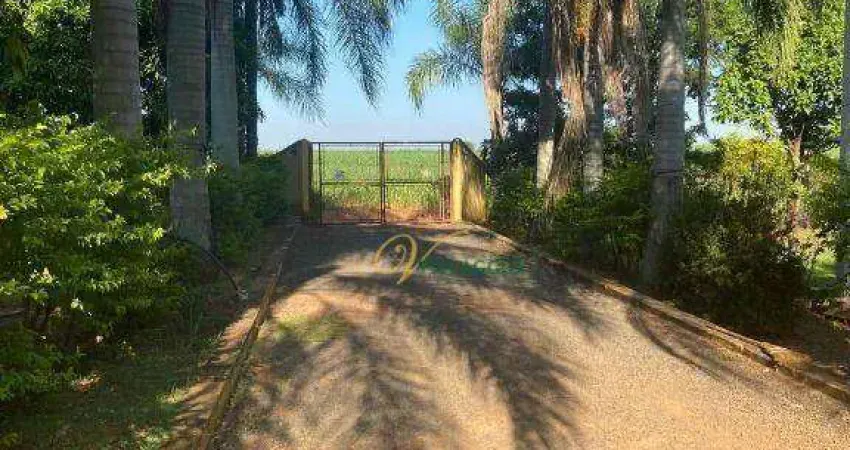 Chácara / sítio com 3 quartos à venda na Avenida Do Tempo, Zona Rural, Bady Bassitt