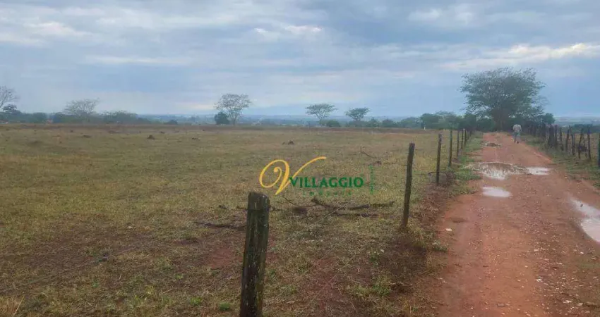 Sítio à venda, 176907 m² por r$ 5.800.000 - fazenda são pedro (zona rural) - são josé do rio preto/sp