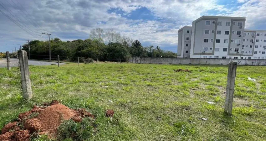 Terreno à venda na Avenida Armando Fajardo, Igara, Canoas