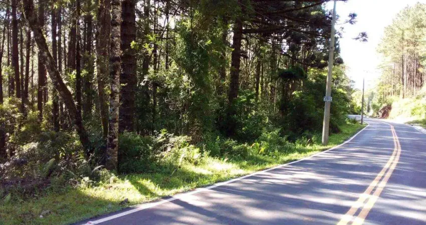 Sala comercial à venda na Mato Queimado, Centro, Gramado