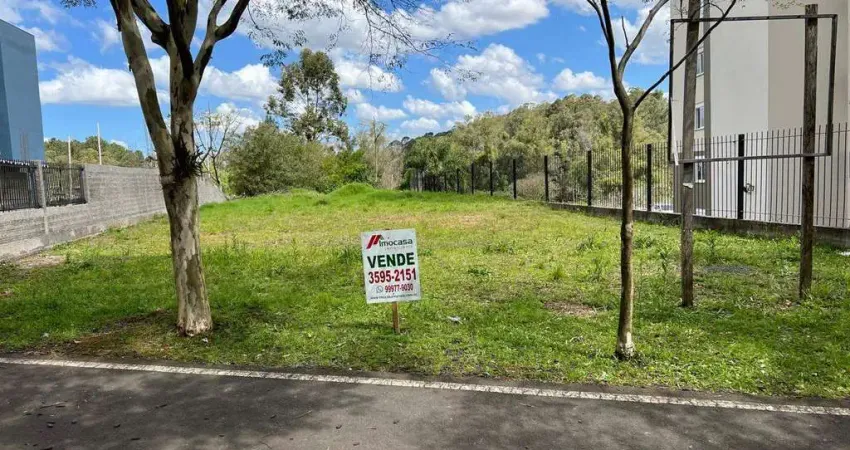 Terreno no centro de campo bom - ótima oportunidade de investimento