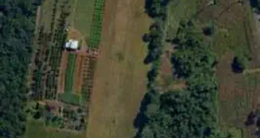 Imóvel à venda no travessão, dois irmãos - ótima oportunidade de investimento