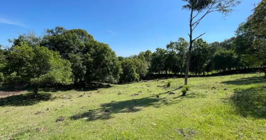 Sala comercial à venda na Estrada da Itagiba, Centro, São Francisco de Paula