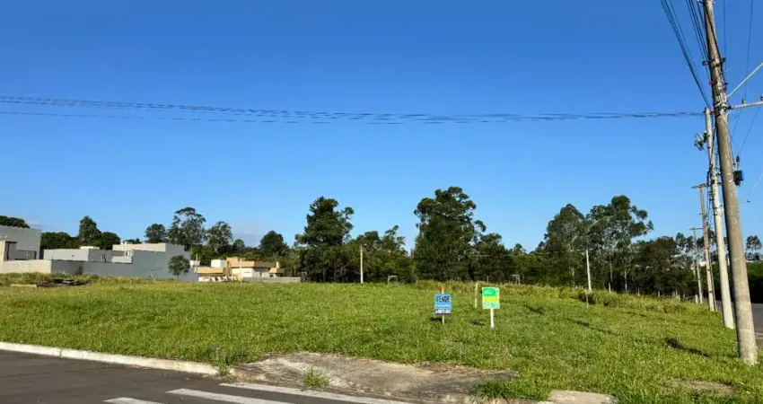 Terreno à venda: excelente oportunidade em localização privilegiada