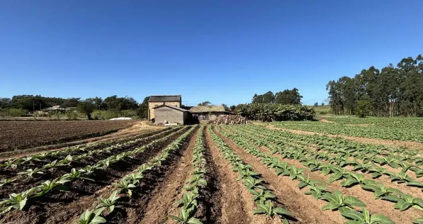 Chácara / sítio com 3 quartos à venda na Zona Rural, Içara 
