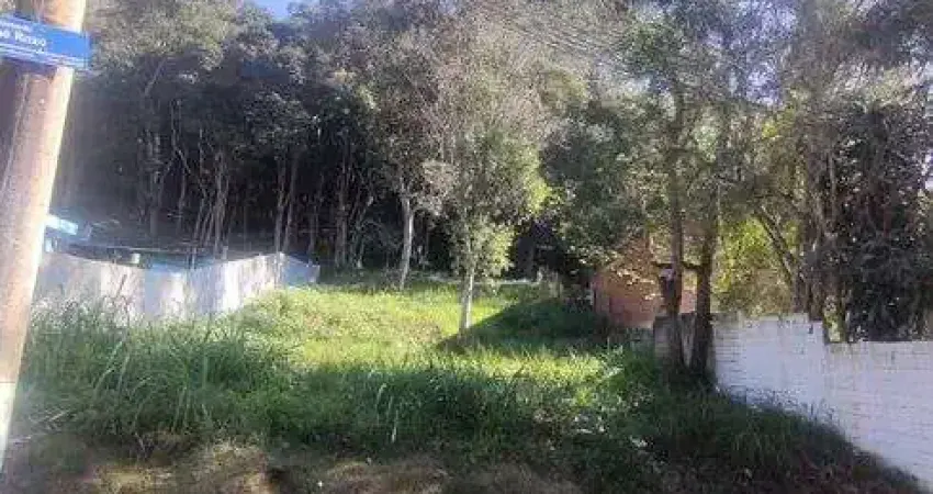 Terreno à venda na Avenida Ecologista de João de Oliveira Ramos de Sá, 761, Jardim dos Ipês, Embu das Artes