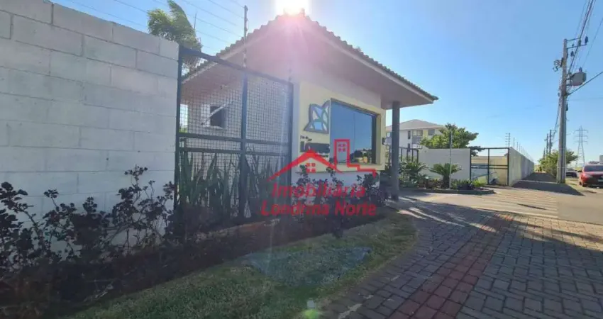 Apartamento com 2 dormitórios para alugar, 49 m² por R$ 950,00/mês - Jardim Maria Celina - Londrina/PR