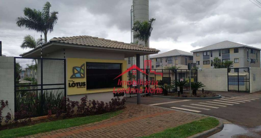 Apartamento com 2 dormitórios, 49 m² - venda por R$ 145.000,00 ou aluguel por R$ 980,00/mês - Jardim Maria Celina - Londrina/PR