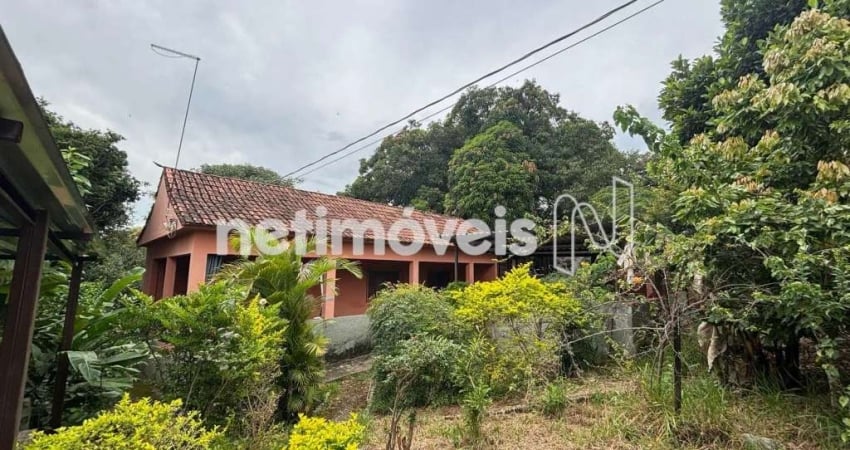 Chácara / sítio com 2 quartos à venda na Rua Antônio Ferreira Paiva, Bom Sossego, Ribeirão das Neves
